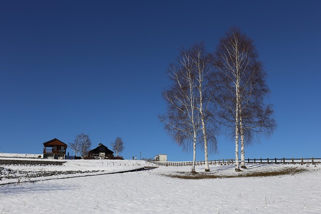 北海道の住まいは何を重視すべきか？寒冷地の選び方と半導体集積の変化を押さえよう